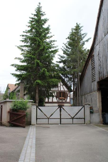 Spacieux Duplex 1 A 6 Personnes Ebersheim ภายนอก รูปภาพ